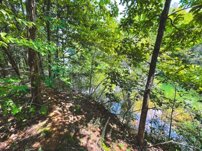 Discover Serene Living at Bridgewater Pointe, Morristown TN - image 4