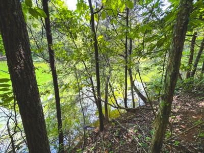 Discover Serene Living at Bridgewater Pointe, Morristown TN - image 3