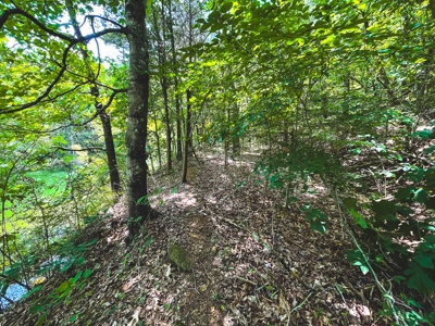 Discover Serene Living at Bridgewater Pointe, Morristown TN - image 15