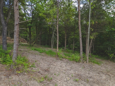 Discover Serene Living at Bridgewater Pointe, Morristown TN - image 14