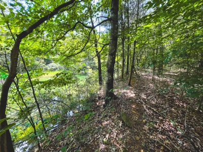 Discover Serene Living at Bridgewater Pointe, Morristown TN - image 2