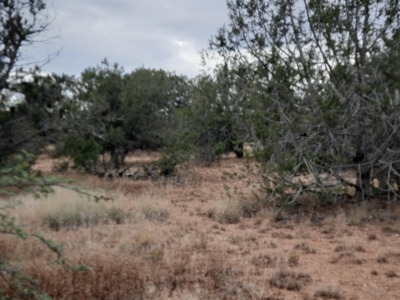 Northern AZ off grid property - image 9
