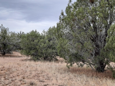 Northern AZ off grid property - image 4
