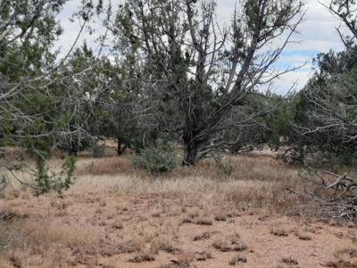 Northern AZ off grid property - image 1