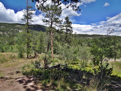 Beautiful Camp or Build - image 1