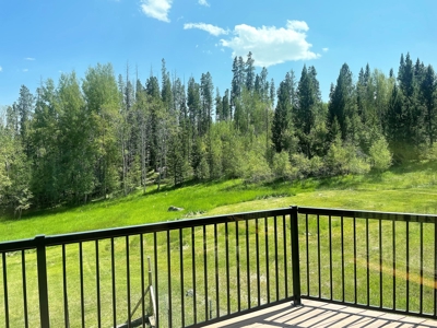 Mountain Log Home with 20+ Acres - image 6