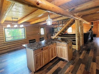 Mountain Log Home with 20+ Acres - image 16