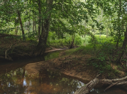 Secluded East TN Paradise: Off-Grid Living & Creek - image 9