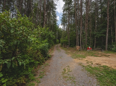 Secluded East TN Paradise: Off-Grid Living & Creek - image 19