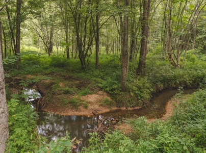 Secluded East TN Paradise: Off-Grid Living & Creek - image 11