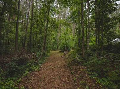 Secluded East TN Paradise: Off-Grid Living & Creek - image 17