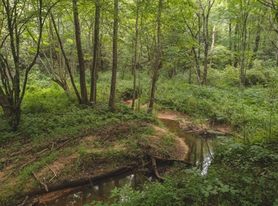 Secluded East TN Paradise: Off-Grid Living & Creek - image 10