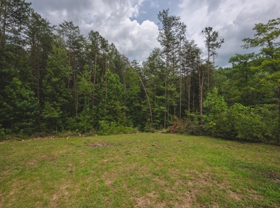 Secluded East TN Paradise: Off-Grid Living & Creek - image 22