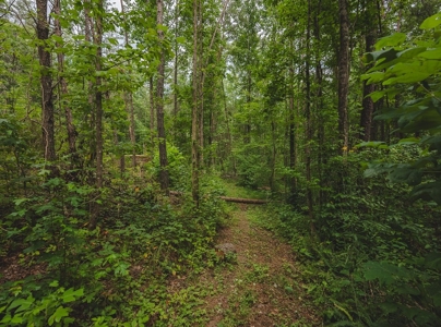 Secluded East TN Paradise: Off-Grid Living & Creek - image 13