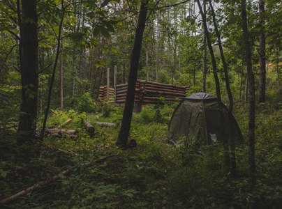 Secluded East TN Paradise: Off-Grid Living & Creek - image 24
