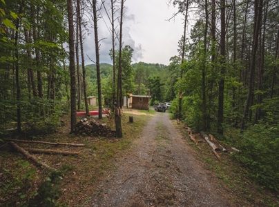 Secluded East TN Paradise: Off-Grid Living & Creek - image 23