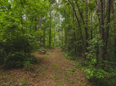 Secluded East TN Paradise: Off-Grid Living & Creek - image 2