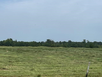 East Texas Pasture Land with Lake - image 6