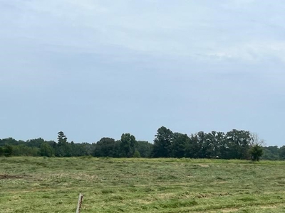 East Texas Pasture Land with Lake - image 8