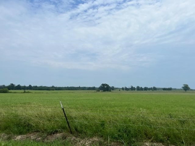 East Texas Pasture Land with Lake - image 1