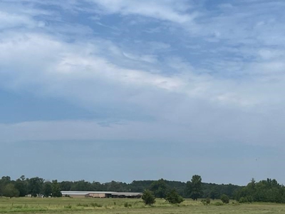 East Texas Pasture Land with Lake - image 12