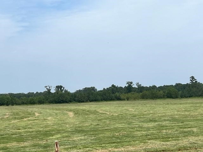 East Texas Pasture Land with Lake - image 11