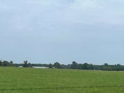 East Texas Pasture Land with Lake - image 4