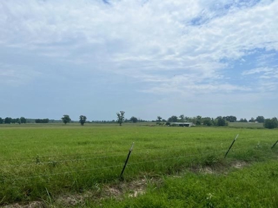 East Texas Pasture Land with Lake - image 2