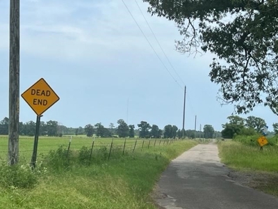 East Texas Pasture Land with Lake - image 3