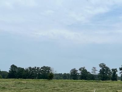 East Texas Pasture Land with Lake - image 9