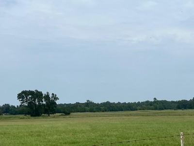 East Texas Pasture Land with Lake - image 5