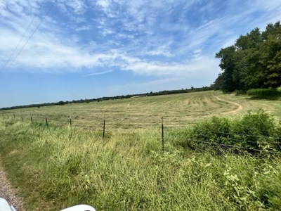 East Texas Pasture Land with Lake - image 7