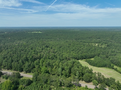 East Texas Timberland & Recreational Hunting Property - image 3