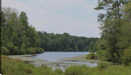 East Texas Ranch For Sale with Lake - image 11