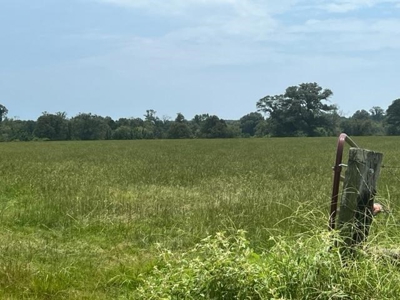 East Texas Ranch For Sale with Lake - image 7