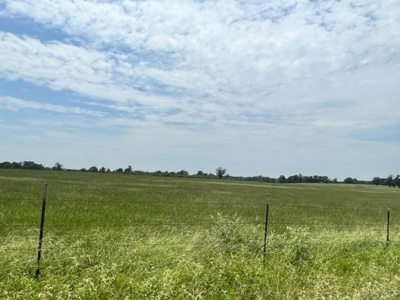 East Texas Ranch For Sale with Lake - image 2