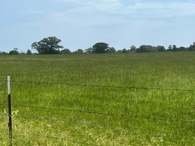 East Texas Ranch For Sale with Lake - image 9