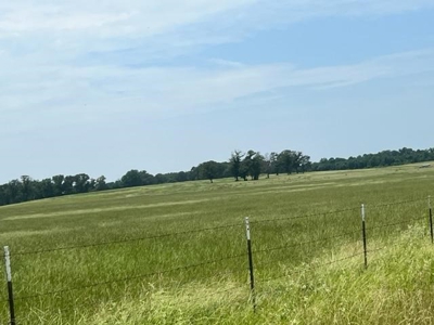 East Texas Ranch For Sale with Lake - image 6