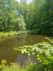 Charming New Englander in the Country - image 41