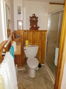 Charming New Englander in the Country - image 11