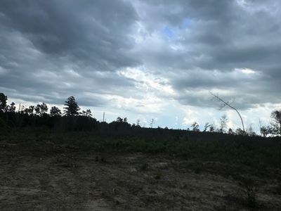 Stephens, AR Land for Sale! - image 3