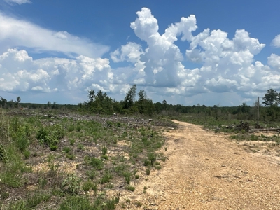 Stephens, AR Land for Sale! - image 1