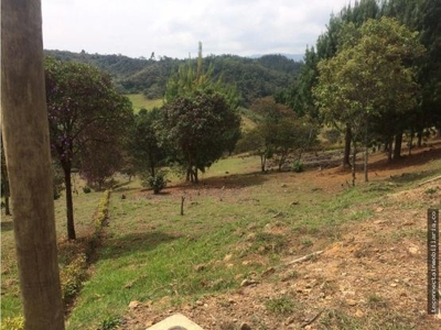 Green Paradise Found: Build Your Dream Home in San Felix - image 2