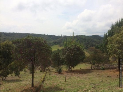 Green Paradise Found: Build Your Dream Home in San Felix - image 3