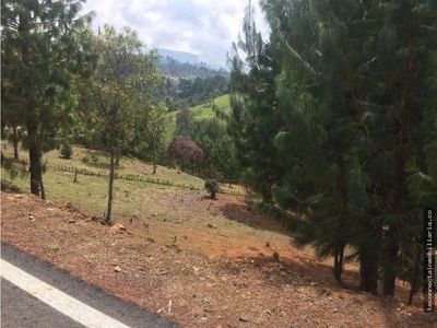Green Paradise Found: Build Your Dream Home in San Felix - image 4