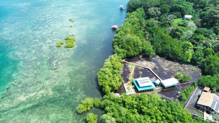 Waterfront Home with Cabin for Sale, Bocas del Toro, Panama - image 47