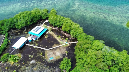 Waterfront Home with Cabin for Sale, Bocas del Toro, Panama - image 46