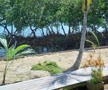 Waterfront Home with Cabin for Sale, Bocas del Toro, Panama - image 13