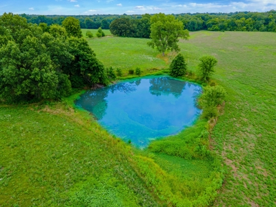 Home on Acreage For Sale Warrensburg, MO - image 11