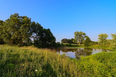 Home on Acreage For Sale Warrensburg, MO - image 47